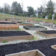 Illustration for article titled Pics from the Curbside: 2018-04-08 from Langara Gardens